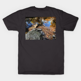 Calm River Rock T-Shirt